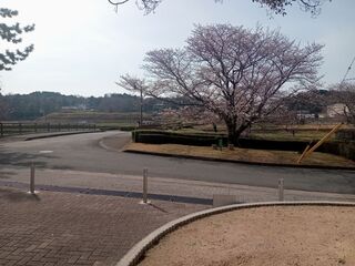 DSC_1266-2.jpg
